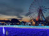 東武動物公園に投稿された画像（2020/12/28）