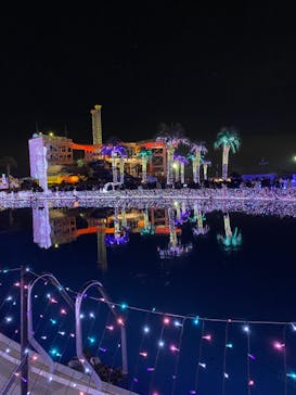 よみうりランド 遊園地に投稿された画像（2020/12/27）