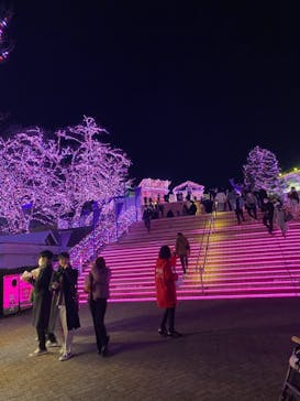 よみうりランド 遊園地に投稿された画像（2020/12/27）