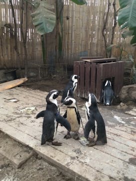 ゼロ距離水族館 伊勢シーパラダイスに投稿された画像（2020/12/27）
