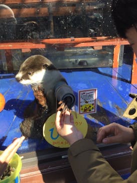 ゼロ距離水族館 伊勢シーパラダイスに投稿された画像（2020/12/27）