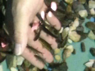 ゼロ距離水族館 伊勢シーパラダイスに投稿された画像（2020/12/27）