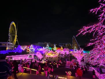 よみうりランド 遊園地に投稿された画像（2020/12/27）