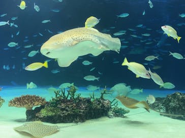 サンシャイン水族館に投稿された画像（2020/12/27）