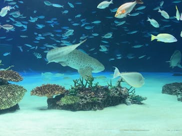 サンシャイン水族館に投稿された画像（2020/12/27）