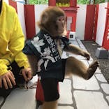 おさるランド＆アニタウン　日光さる軍団劇場に投稿された画像（2020/12/28）