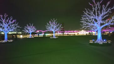 東京メガイルミに投稿された画像（2020/12/27）