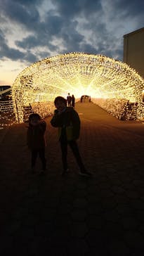 東京メガイルミに投稿された画像（2020/12/27）