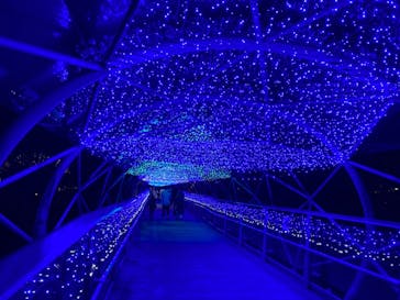 とっとり花回廊に投稿された画像（2020/12/28）