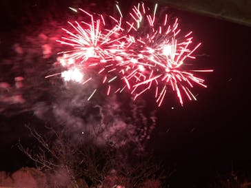 とっとり花回廊に投稿された画像（2020/12/28）