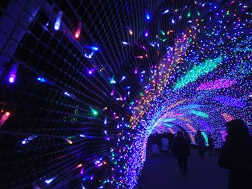 よみうりランド 遊園地に投稿された画像（2020/12/28）