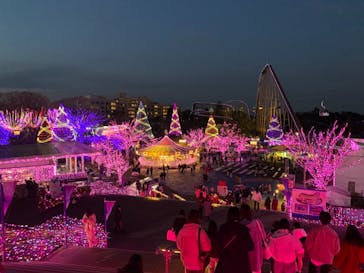 よみうりランド 遊園地に投稿された画像（2020/12/28）