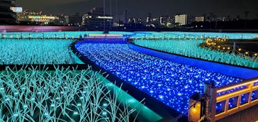 東京メガイルミに投稿された画像（2020/12/28）