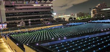 東京メガイルミに投稿された画像（2020/12/28）