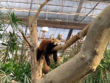 神戸どうぶつ王国に投稿された画像（2020/12/27）