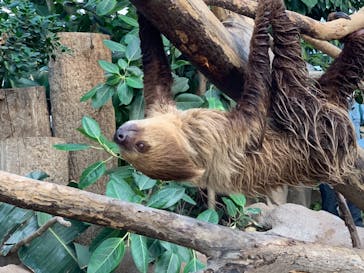 神戸どうぶつ王国に投稿された画像（2020/12/27）