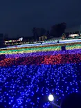 東武動物公園に投稿された画像（2020/12/28）