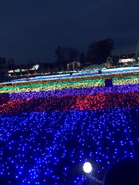 東武動物公園に投稿された画像（2020/12/28）