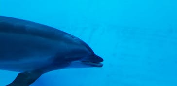 アクアワールド茨城県大洗水族館に投稿された画像（2020/12/28）
