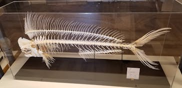 アクアワールド茨城県大洗水族館に投稿された画像（2020/12/28）