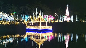 美らヤシパークオキナワ・東南植物楽園に投稿された画像（2020/12/28）