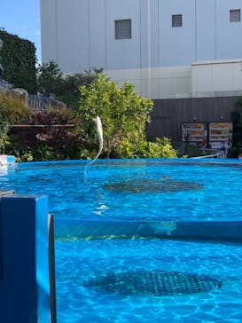サンシャイン水族館に投稿された画像（2020/12/28）