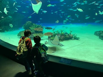 サンシャイン水族館に投稿された画像（2020/12/28）
