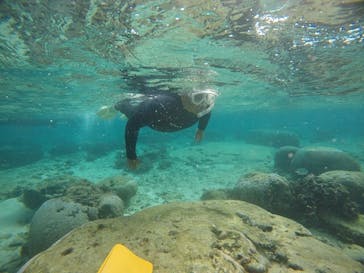 武藤潜水に投稿された画像（2020/12/28）