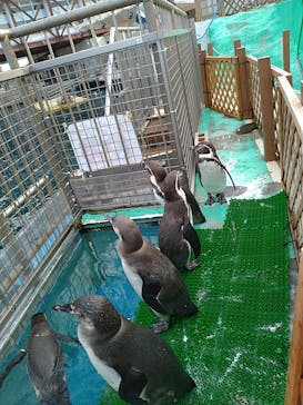 伊豆・三津シーパラダイスに投稿された画像（2020/12/28）