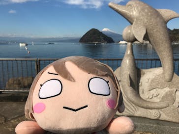 伊豆・三津シーパラダイスに投稿された画像（2020/12/28）