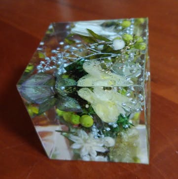 ずこうしつ〜sugamo〜に投稿された画像（2020/12/28）