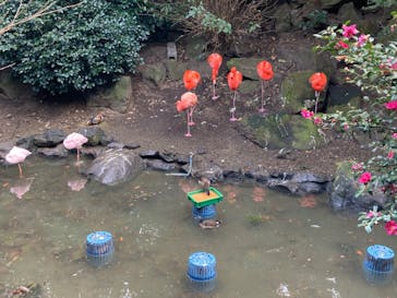 伊豆シャボテン動物公園に投稿された画像（2020/12/28）