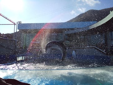 大分マリーンパレス水族館 「うみたまご」に投稿された画像（2020/12/28）