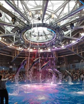 マクセル アクアパーク品川に投稿された画像（2020/12/28）