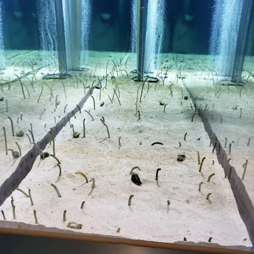 すみだ水族館に投稿された画像（2020/12/28）