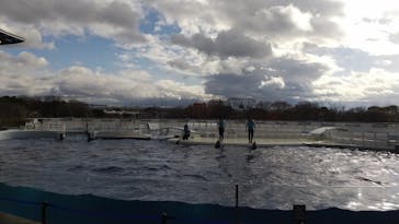 京都水族館に投稿された画像（2020/12/28）