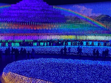 なばなの里に投稿された画像（2020/12/28）