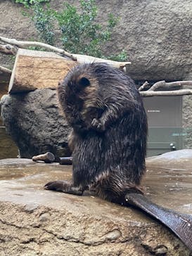 神戸どうぶつ王国に投稿された画像（2020/12/28）