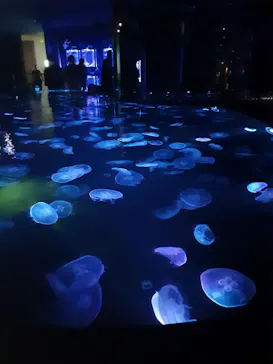 すみだ水族館に投稿された画像（2020/12/28）