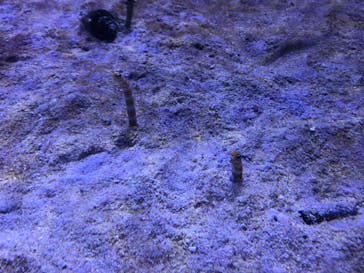 横浜・八景島シーパラダイスに投稿された画像（2020/12/28）