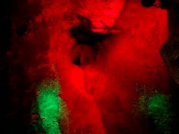 地底王国「美川ムーバレー」に投稿された画像（2020/12/28）