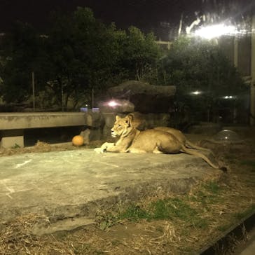 東武動物公園に投稿された画像（2020/12/28）