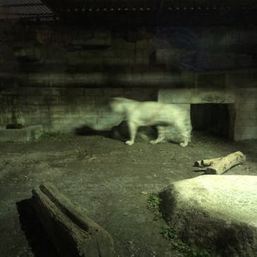 東武動物公園に投稿された画像（2020/12/28）