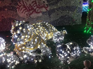 東武動物公園に投稿された画像（2020/12/28）