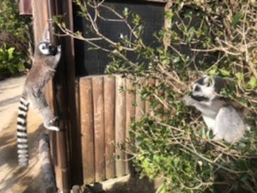 神戸どうぶつ王国に投稿された画像（2020/12/28）