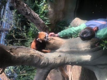 神戸どうぶつ王国に投稿された画像（2020/12/28）