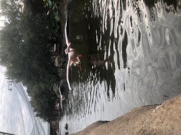 神戸どうぶつ王国に投稿された画像（2020/12/28）