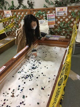 よみうりランド 遊園地に投稿された画像（2020/12/28）