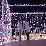 よみうりランド 遊園地に投稿された画像（2020/12/29）