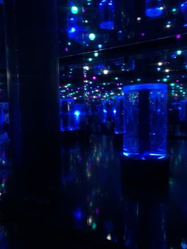 マクセル アクアパーク品川に投稿された画像（2020/12/28）